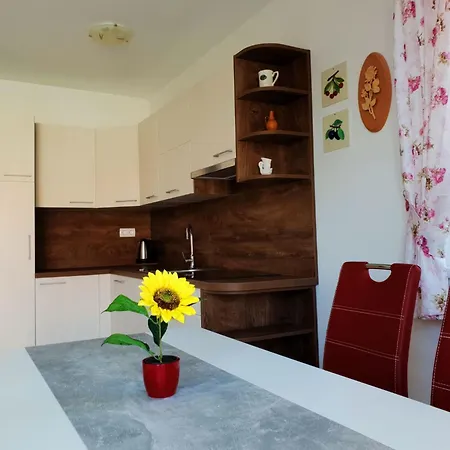 Branka By Interhome Apartament Šilo