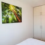 Branka By Interhome